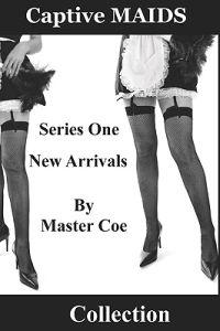 Captive Maids Collection: Series One: New Arrivals