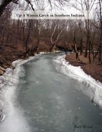Up a Winter Creek in Southern Indiana