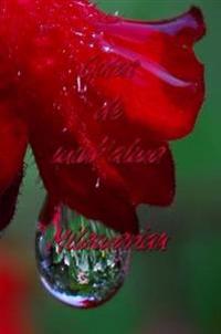 Gotas De Minh'alma