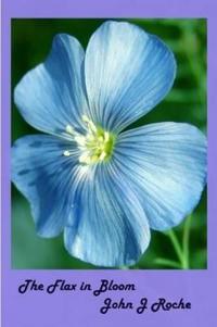 The Flax In Bloom