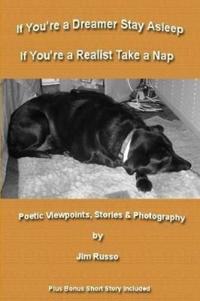If You're a Dreamer Stay Asleep If You're a Realist Take a Nap