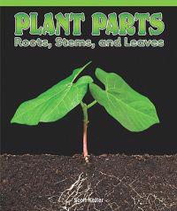 Plant Parts