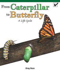 From Caterpillar to Butterfly