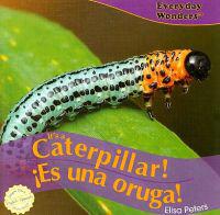 It's a Caterpillar! / Es una oruga!
