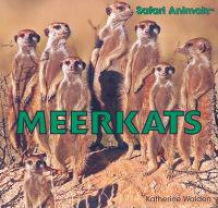 Meekrats