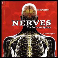 Nerves