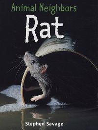 Kirjan kansi "Rat"