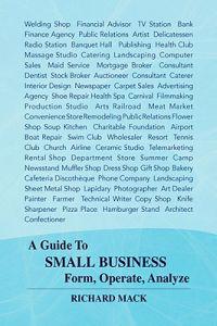 Bokomslag för "A Guide to Small Business Form, Operate, Analyze"