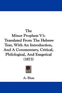 The Minor Prophets V1: Translated From The Hebrew Text, With An Introduction, And A Commentary, Critical, Philological, And Exegetical (1873)