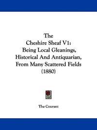 The Cheshire Sheaf V1