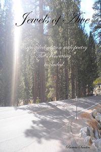 Jewels Of Awe: Expanded Edition With Poetry "The Knowing" Included