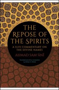 SUNY series in Islam