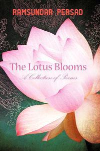 The Lotus Blooms