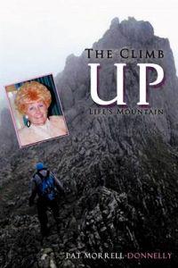 The Climb Up Life's Mountain