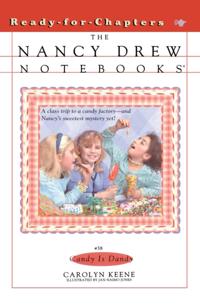 Nancy Drew Notebooks