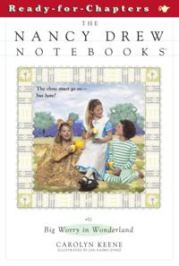 Nancy Drew Notebooks
