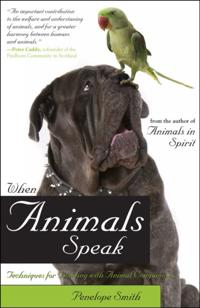 Animal Talk series