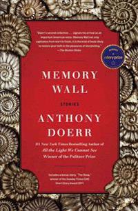 Memory Wall