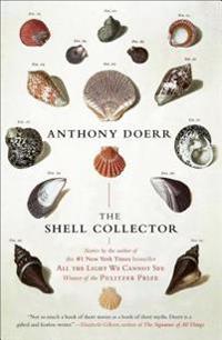 Shell Collector