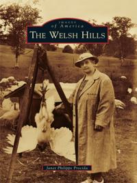 Welsh Hills