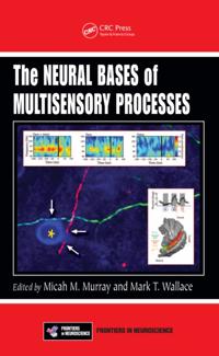 Frontiers in Neuroscience