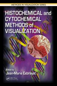Methods in Visualization