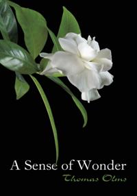 Sense of Wonder