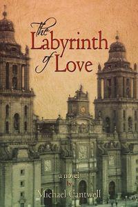 Bokomslag för "The Labyrinth of Love"
