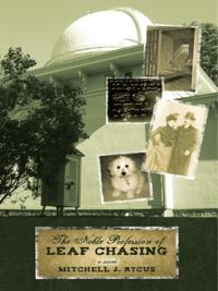 Noble Profession of Leaf Chasing