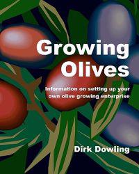 Growing Olives