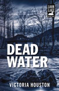 A Loon Lake Mystery