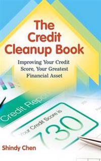 The Credit Cleanup Book
