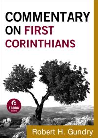Commentary on the New Testament