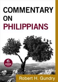 Commentary on the New Testament