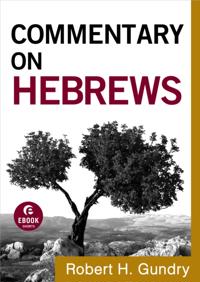 Commentary on the New Testament