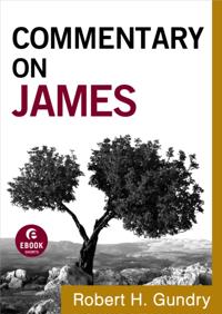 Commentary on the New Testament