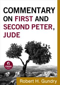 Commentary on the New Testament