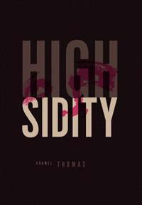 Kirjan kansi "Highsidity"