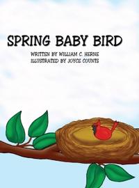 Spring Baby Bird