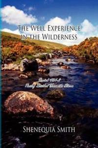 The Well Experience in the Wilderness
