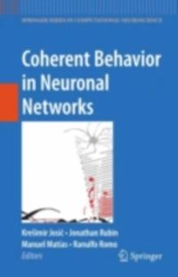 Springer Series in Computational Neuroscience