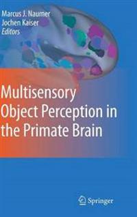 Multisensory Object Perception in the Primate Brain