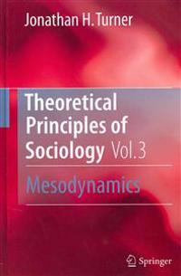 Theoretical Principles of Sociology, Volume 3