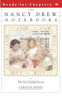 Nancy Drew Notebooks