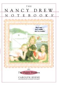 Nancy Drew Notebooks