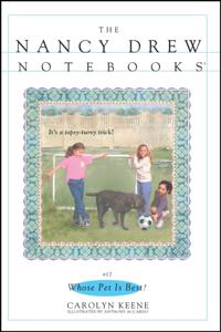 Nancy Drew Notebooks