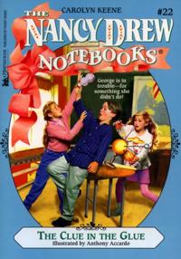 Nancy Drew Notebooks
