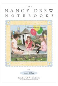 Nancy Drew Notebooks