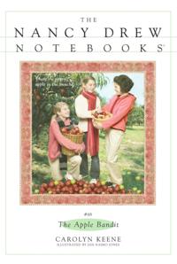 Nancy Drew Notebooks