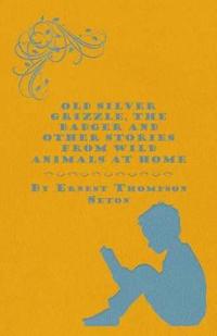 Old Silver Grizzle The Badger And Other Stories From Wild Animals At Home